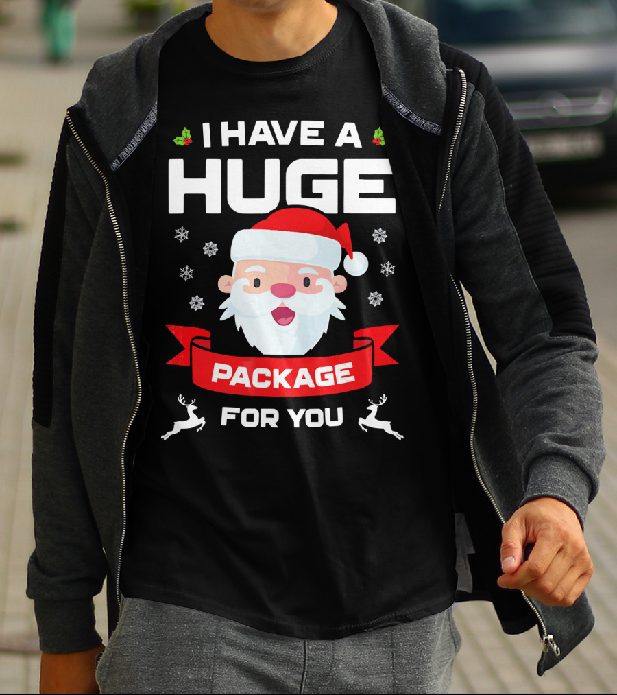 I Have A Huge Package For You Santa Snowflakes Reindeer Christmas T-Shirt