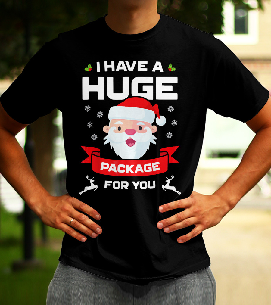 I Have A Huge Package For You Santa Snowflakes Reindeer Christmas T-Shirt