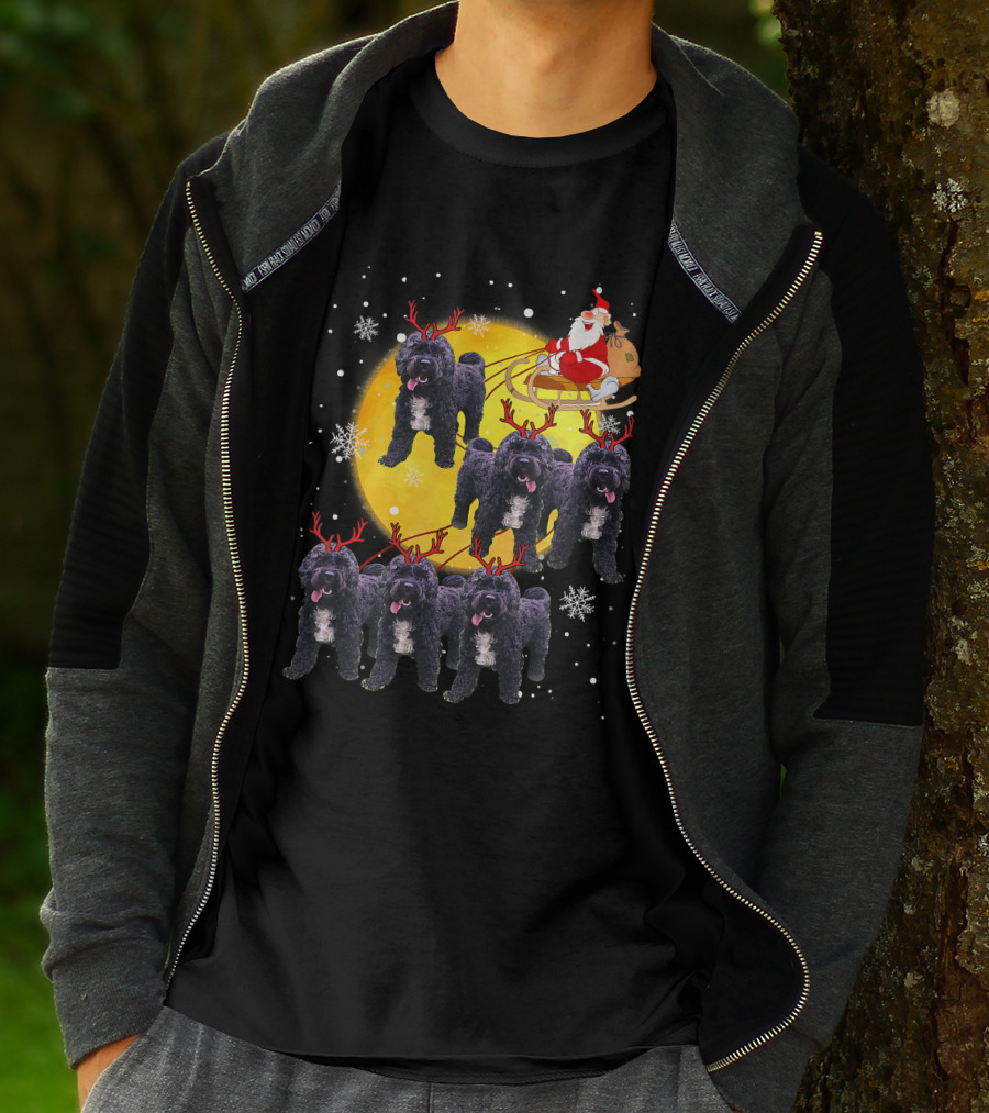 Cockapoo Reindeer Santa Sleigh Christmas Funny Cocka T-Shirt