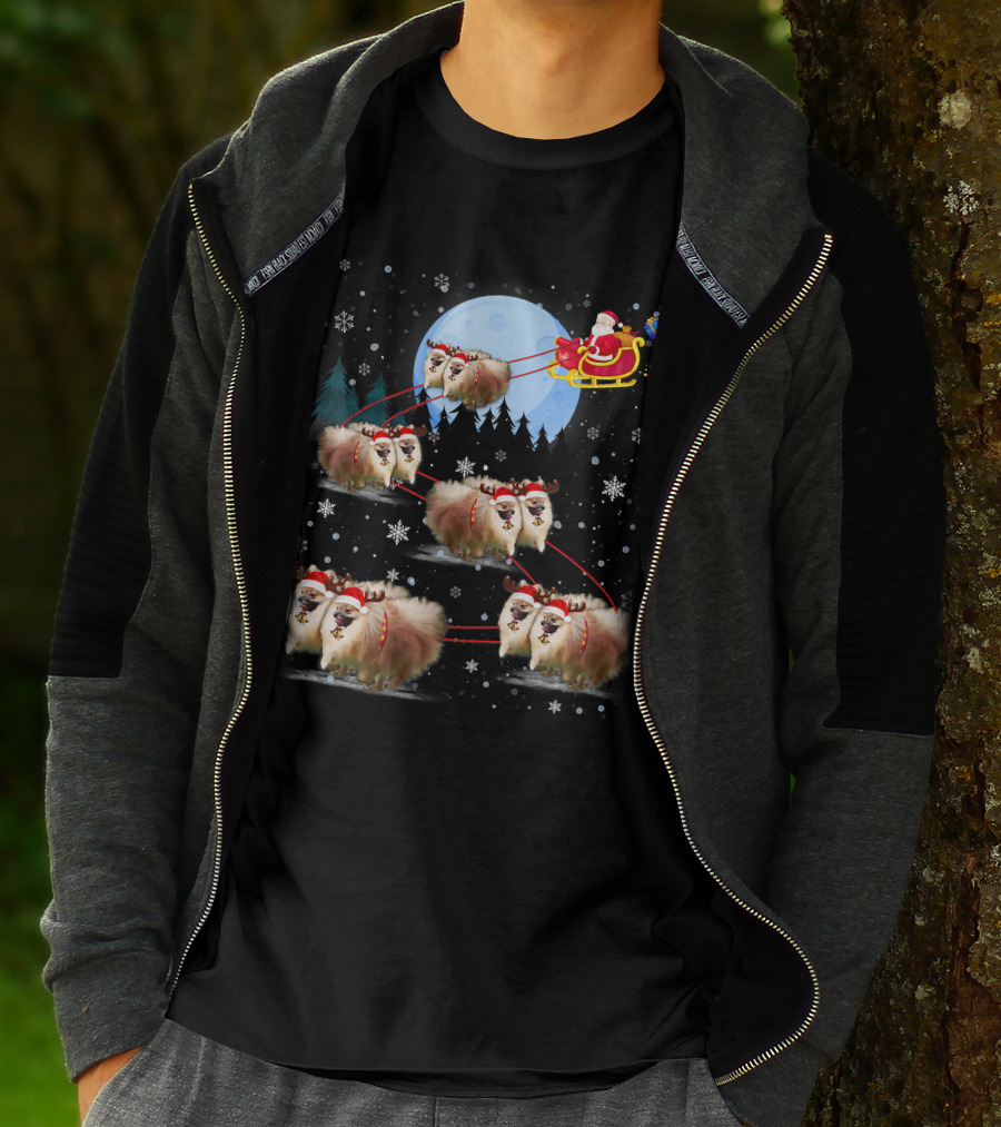 Pomeranian Reindeer Santa Sleigh Christmas Under Moonlight T-Shirt