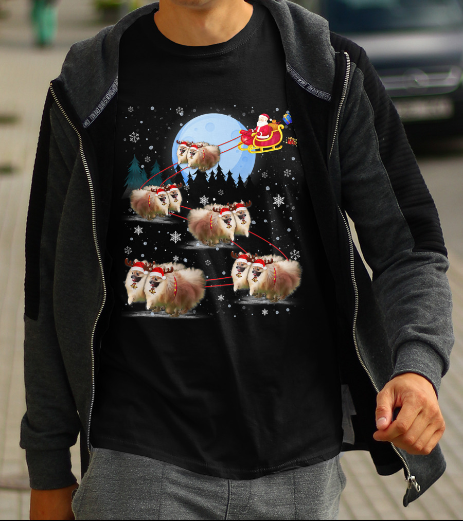 Pomeranian Reindeer Santa Sleigh Christmas Under Moonlight T-Shirt
