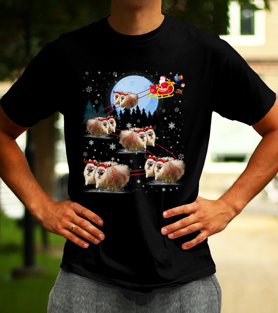 Pomeranian Reindeer Santa Sleigh Christmas Under Moonlight T-Shirt