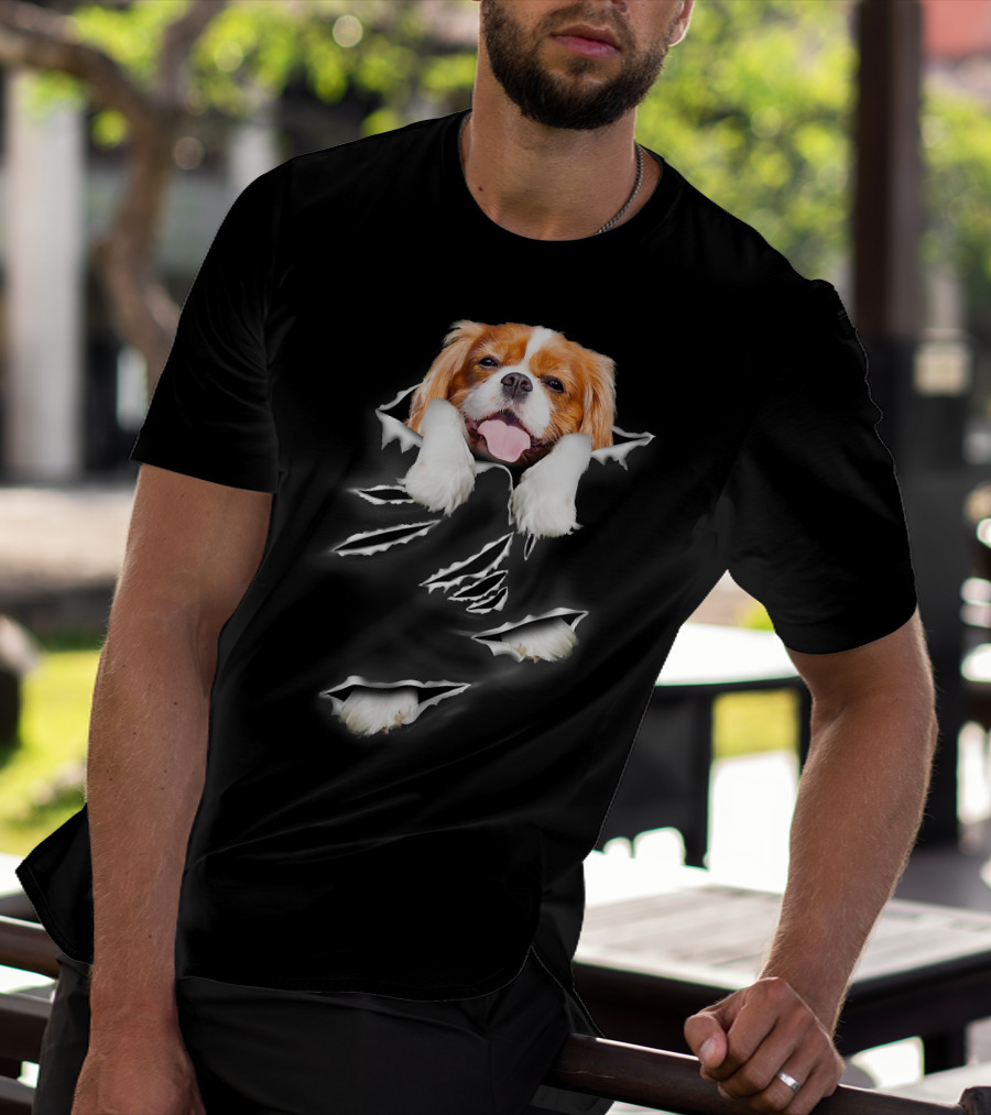 Cavalier King Charles Spaniel Scratch Torn Paws And Face Peeking Through T-Shirt