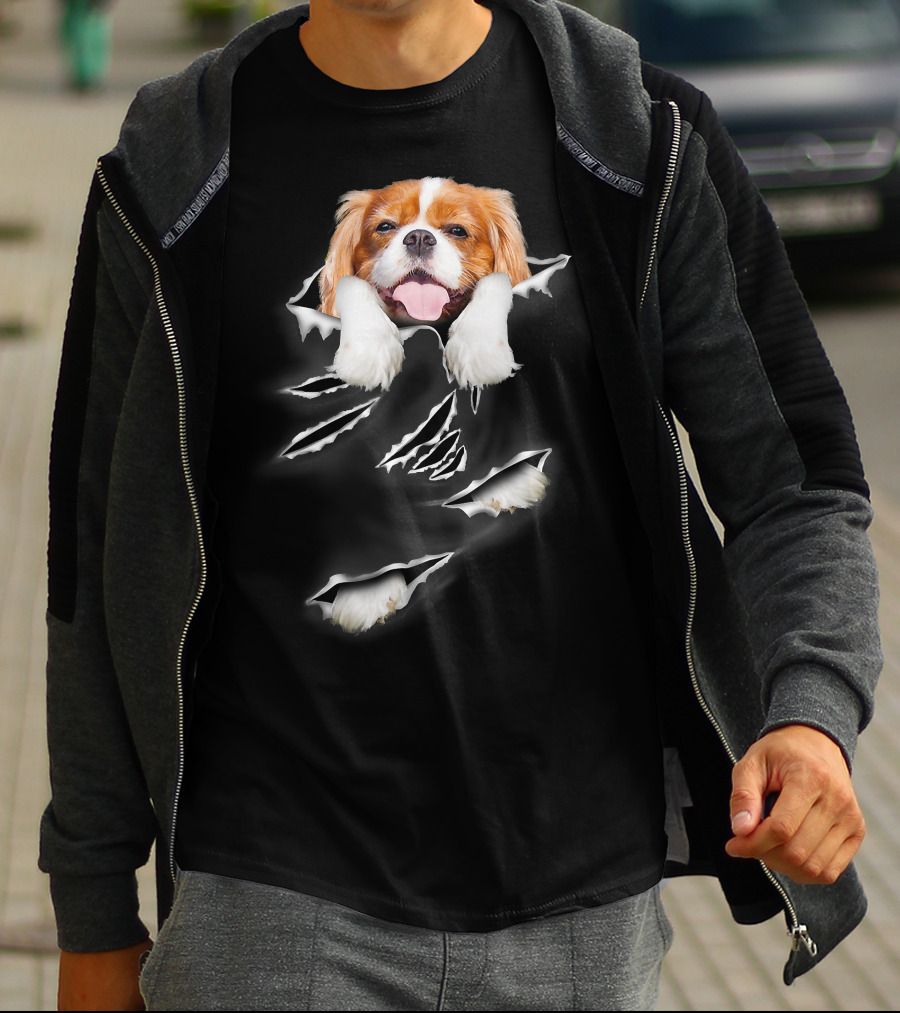 Cavalier King Charles Spaniel Scratch Torn Paws And Face Peeking Through T-Shirt