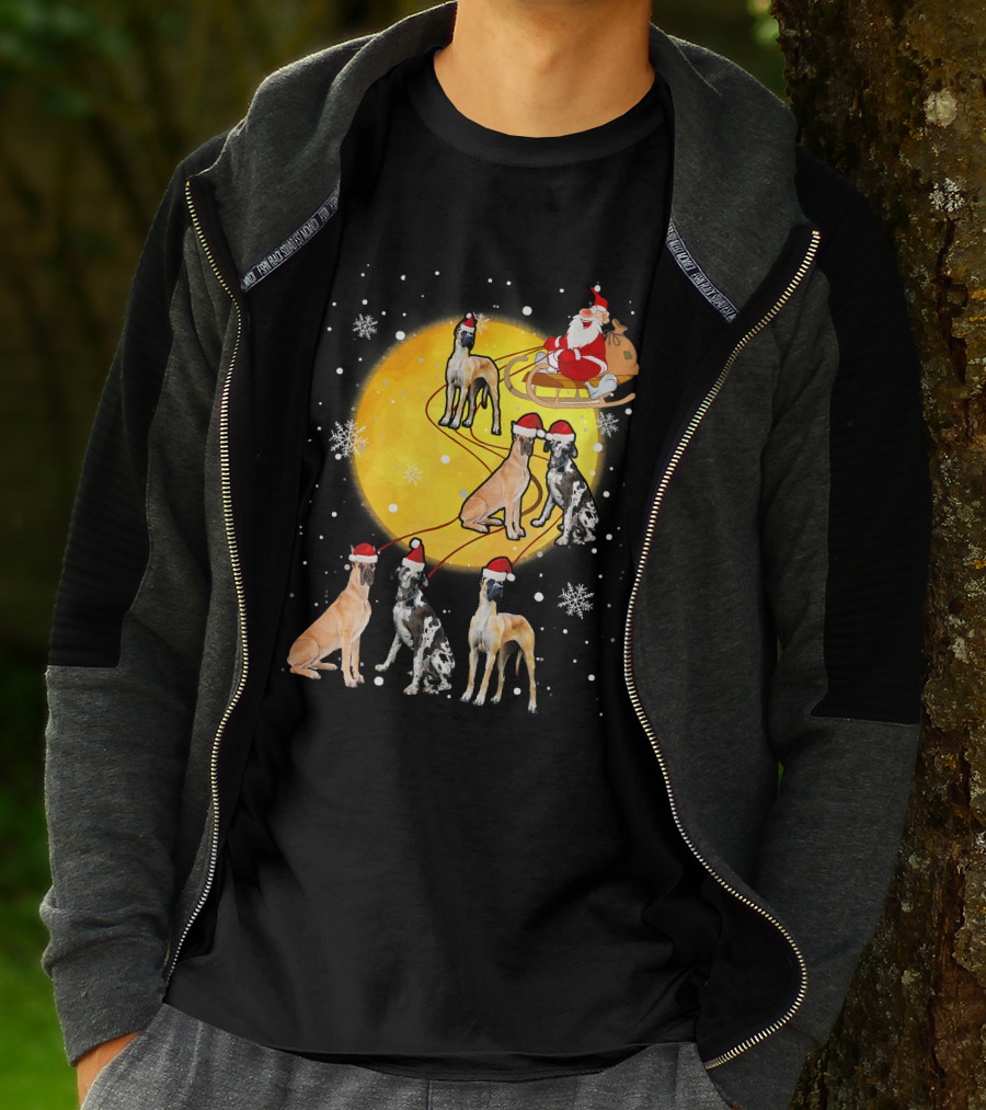 Santa Claus Sleigh Great Dane Reindeer Pack Moon Snowflakes T-Shirt