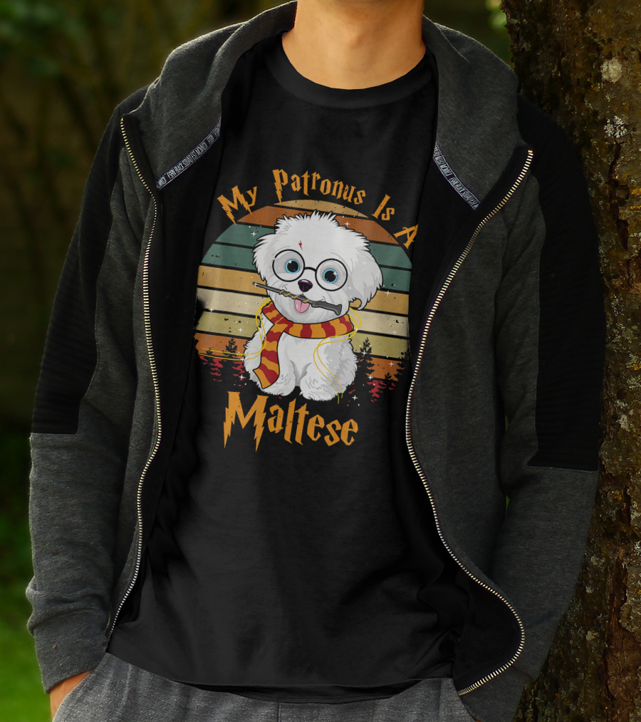 My Patronus Is A Maltese Dog With Wizard Glasses And Scarf In Colorful Circle T-Shirt