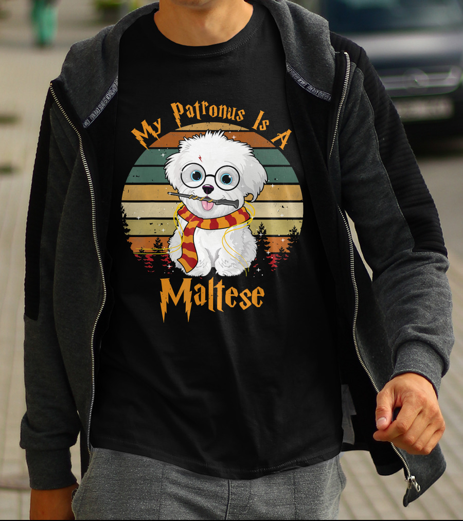 My Patronus Is A Maltese Dog With Wizard Glasses And Scarf In Colorful Circle T-Shirt