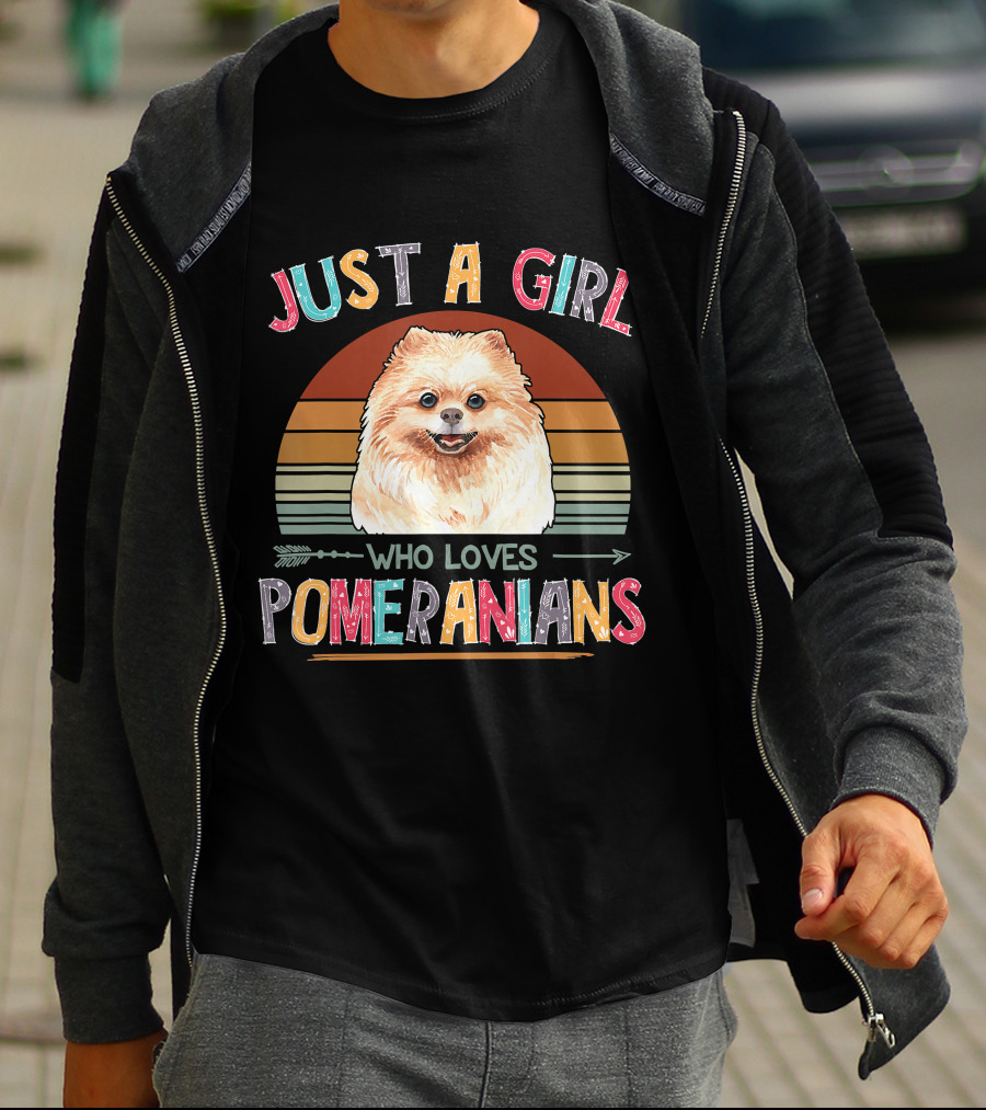 Just A Girl Who Loves Pomeranians Retro Sunset T-Shirt