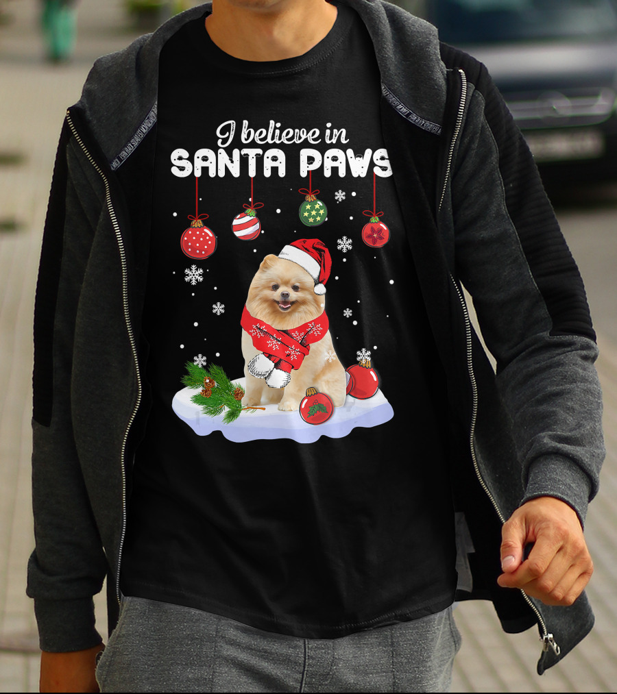 I Believe In Santa Paws Pomeranian Festive Christmas Ornaments Snowflakes T-Shirt